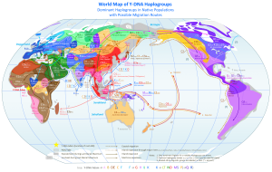 World Map of Y-DNA Haplogroups