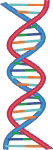 DNA